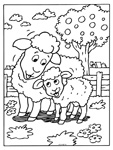 lente schapen