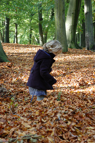 kind-in-de-bladeren